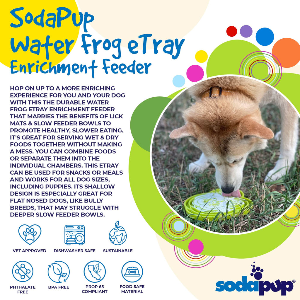 Water Frog eTray Shallow Slow Feeder Dog Bowl for Enrichment | USA Made