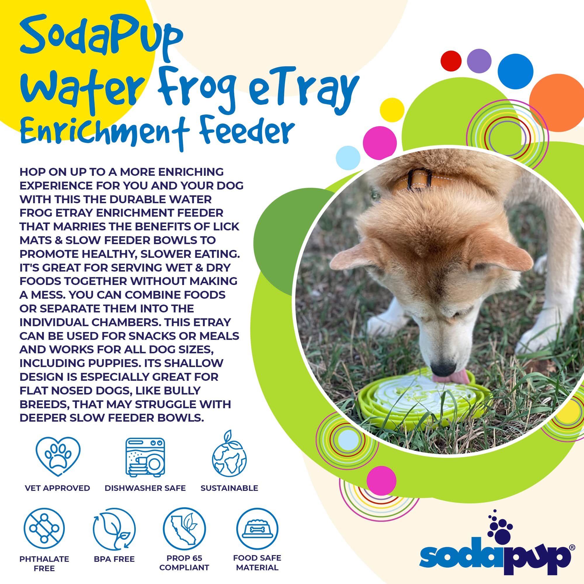 Water Frog eTray Shallow Slow Feeder Dog Bowl for Enrichment | USA Made