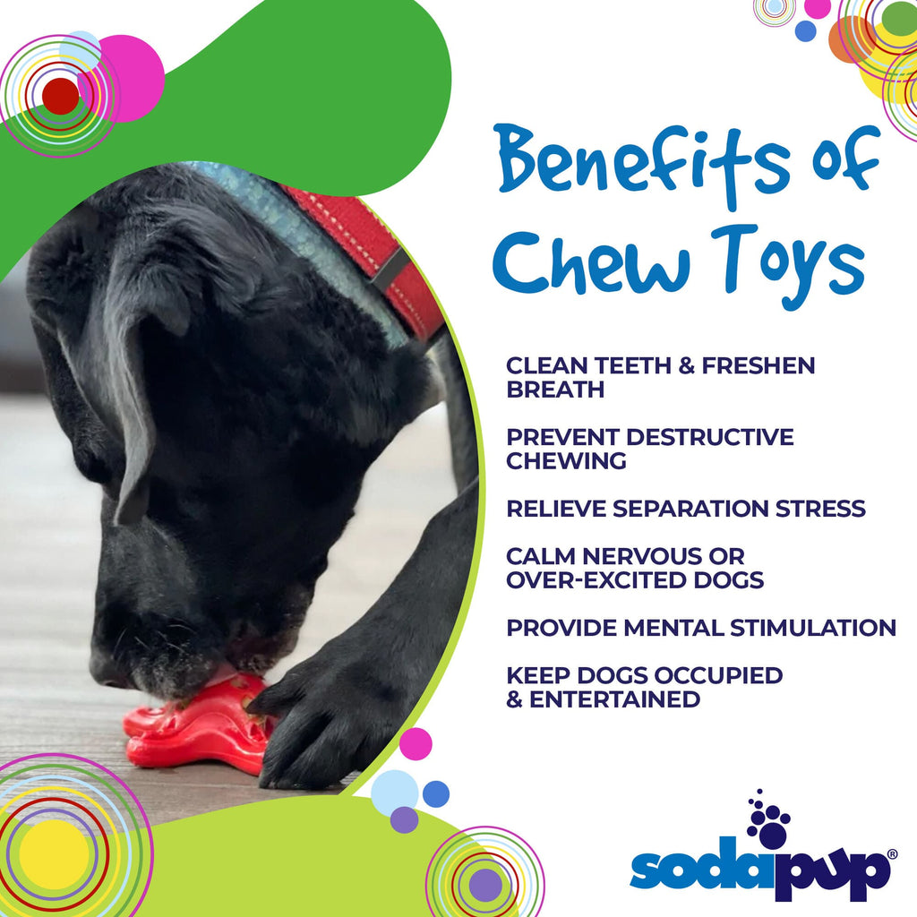 Starfish Nylon Dog Chew Toy for Aggressive Chewers | USA Made