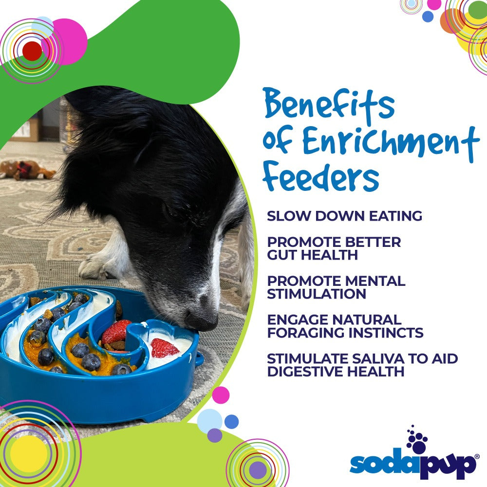 Wave eBowl Deep Slow Feeder Dog Bowl for Enrichment | USA Made