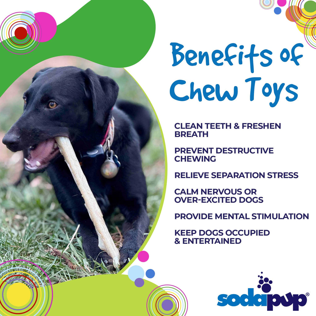 Durable Nylon Chew Stick for Power Chewers | Indestructible Dog Toy | USA Made