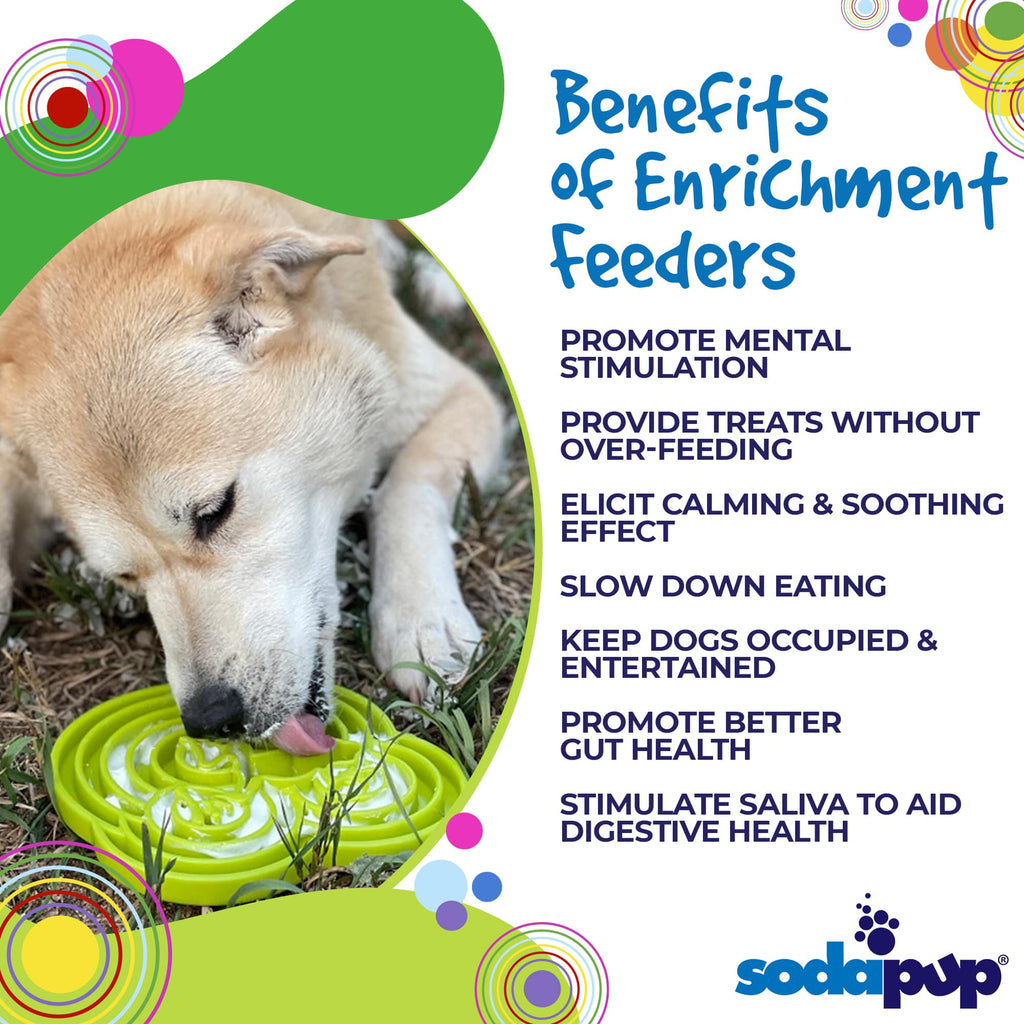 Water Frog eTray Shallow Slow Feeder Dog Bowl for Enrichment | USA Made