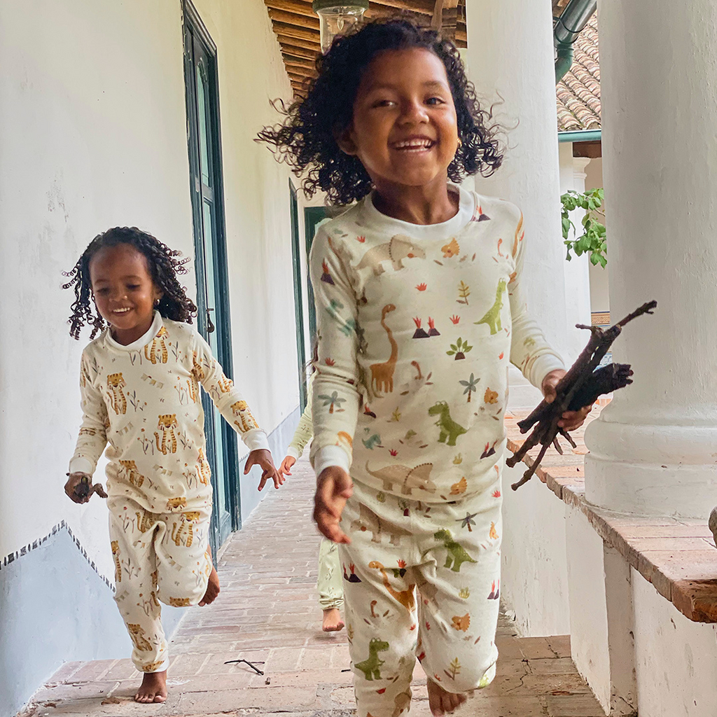 Boys Dinosaur Organic Pajamas