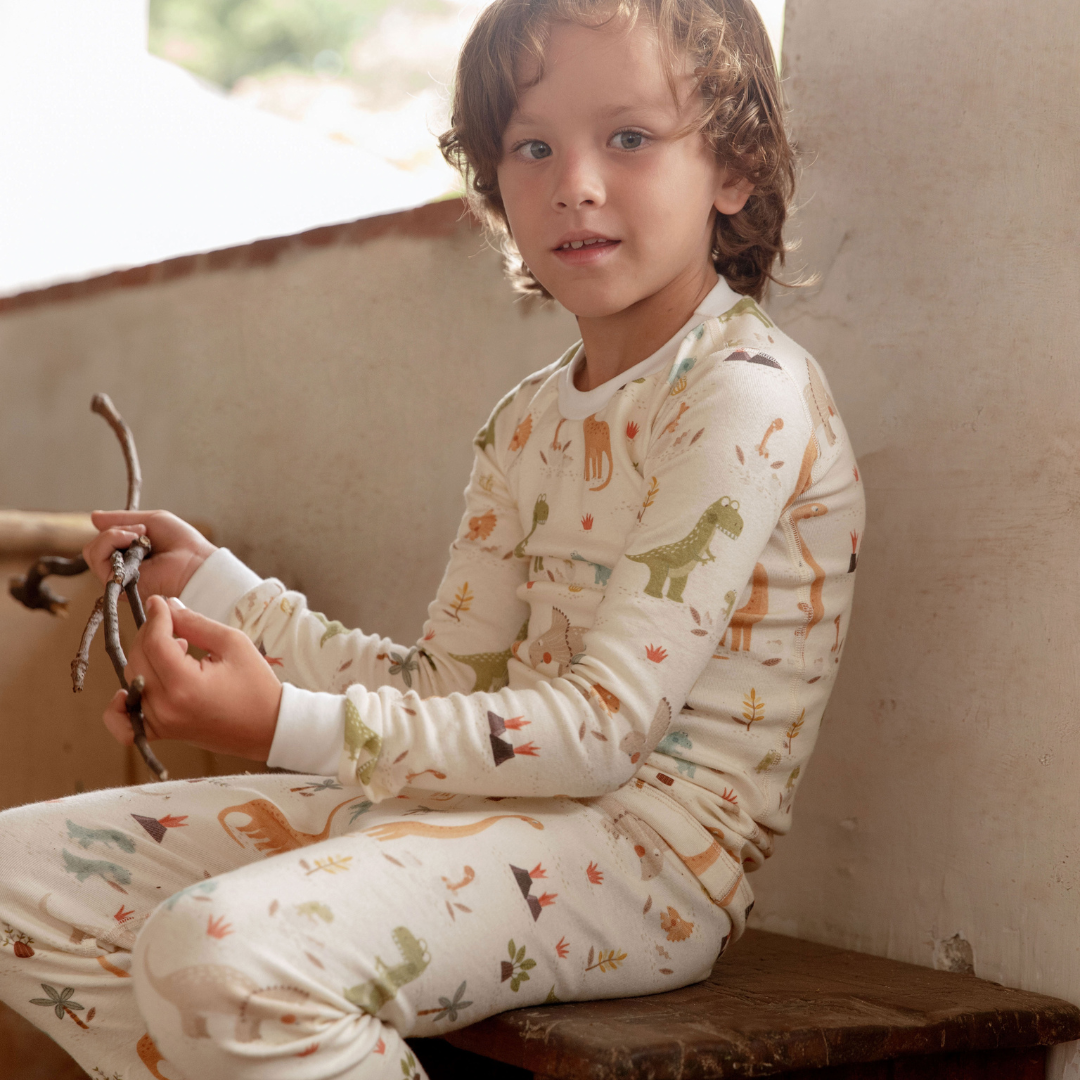 Boys Dinosaur Organic Pajamas