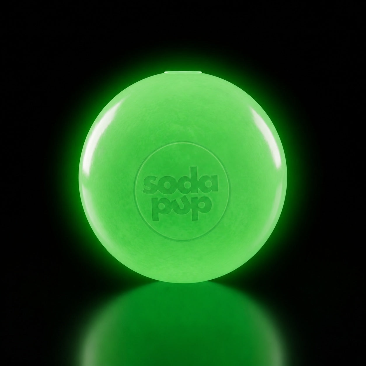Squeak Ball - Durable Squeaky Dog Toy | USA Made
