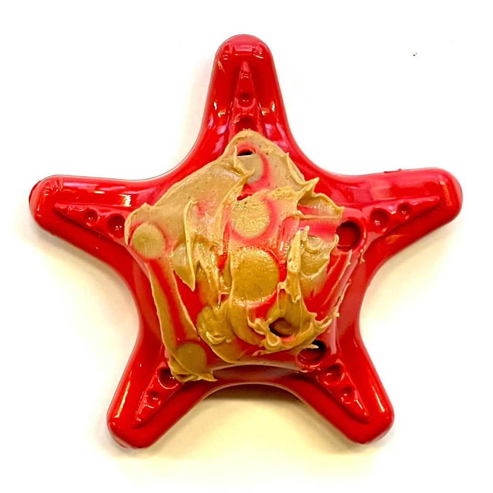 Starfish Nylon Dog Chew Toy for Aggressive Chewers | USA Made