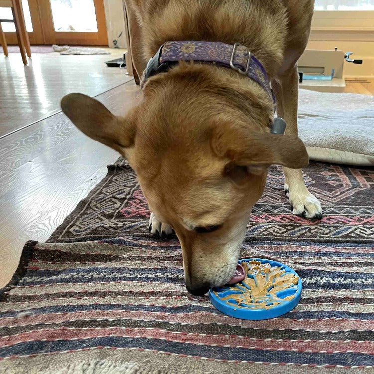 Air Nylon eCoin Lick Mat for Dogs - Durable Enrichment Toy | USA Made