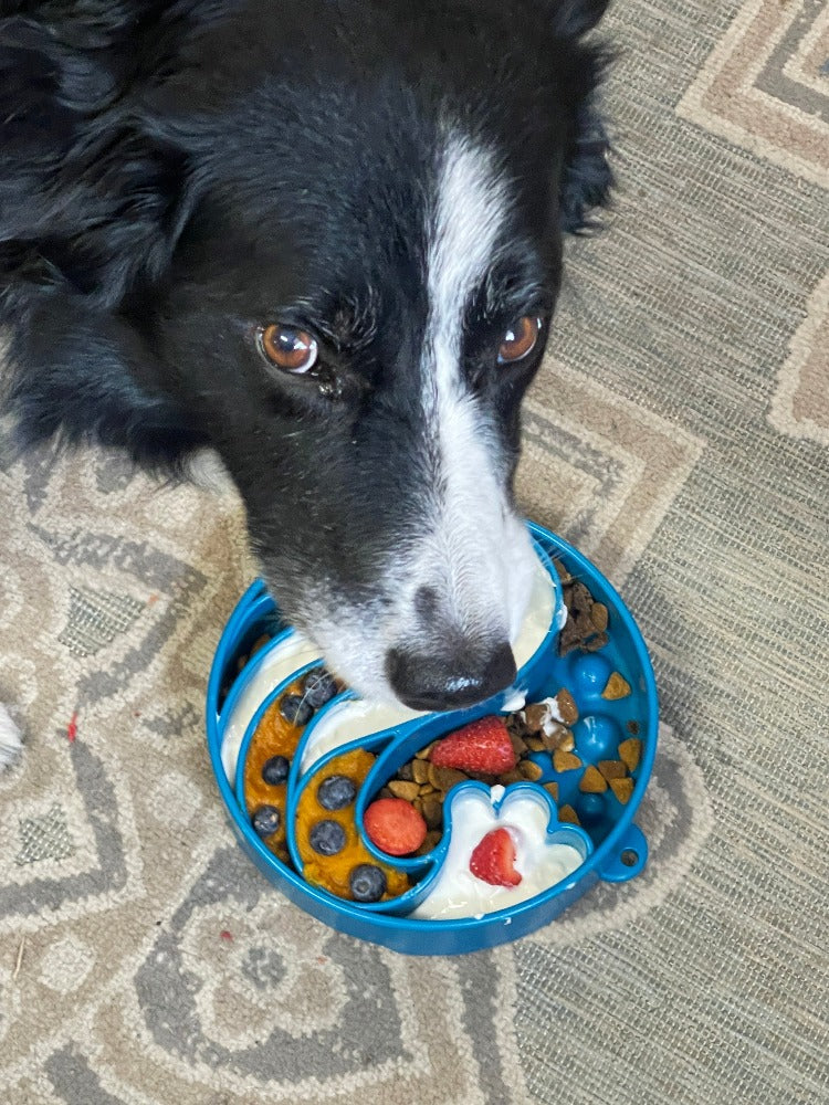 Wave eBowl Deep Slow Feeder Dog Bowl for Enrichment | USA Made