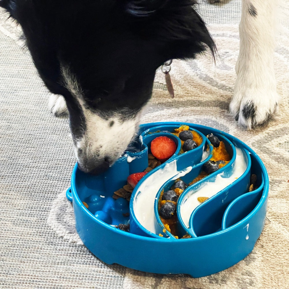 Wave eBowl Deep Slow Feeder Dog Bowl for Enrichment | USA Made