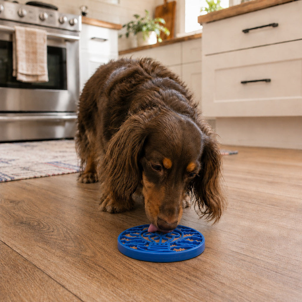 Air Nylon eCoin Lick Mat for Dogs - Durable Enrichment Toy | USA Made