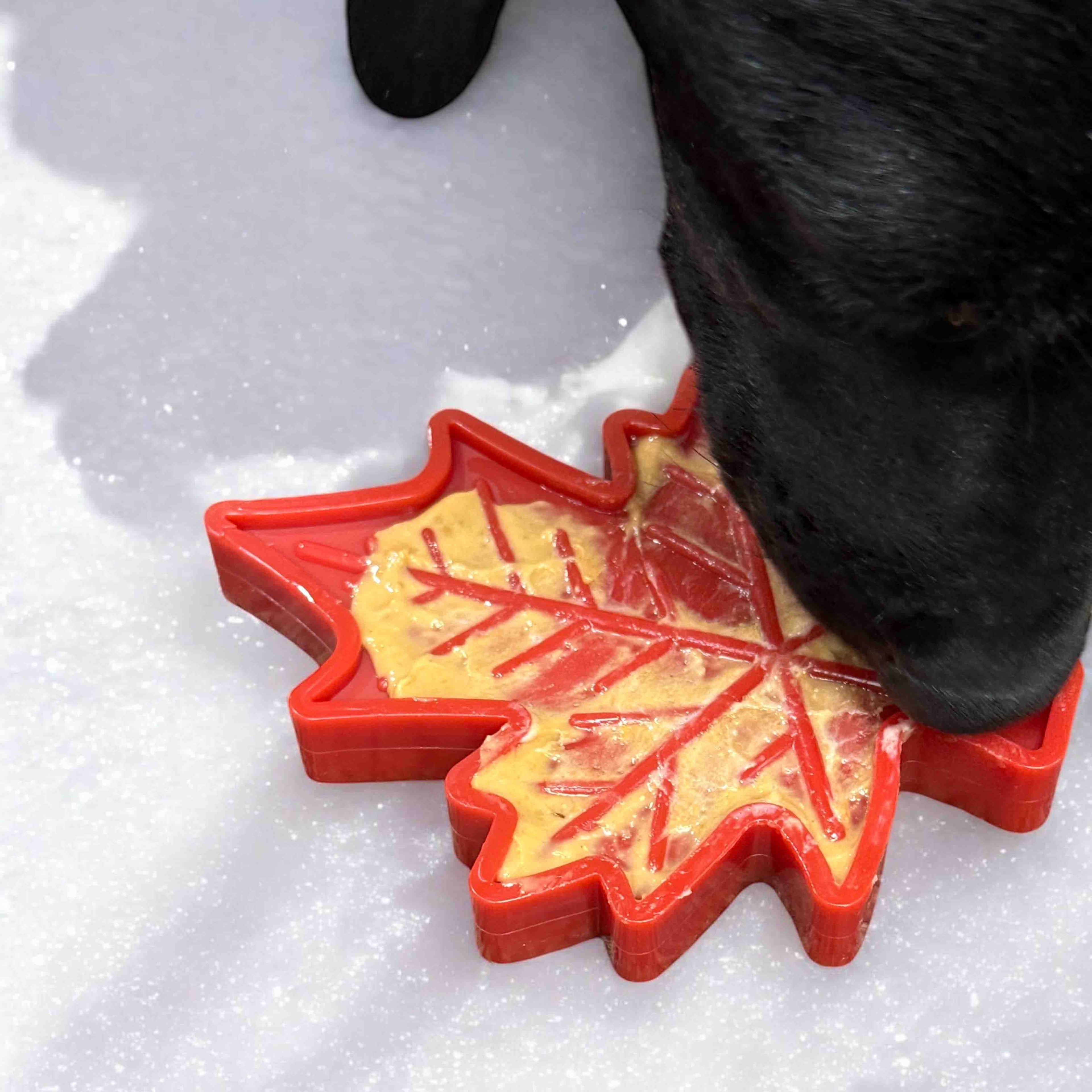 Canadian Maple Leaf Nylon Dog Chew Toy - Indestructible | USA Made