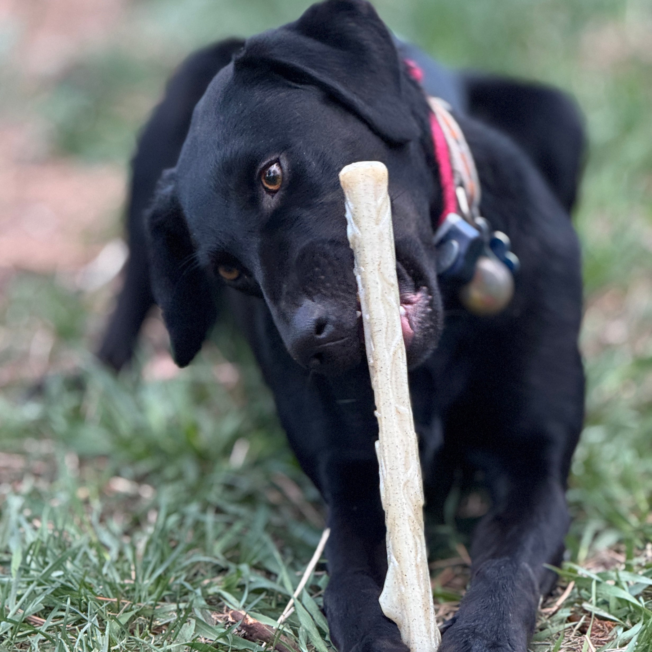Durable Nylon Chew Stick for Power Chewers | Indestructible Dog Toy | USA Made
