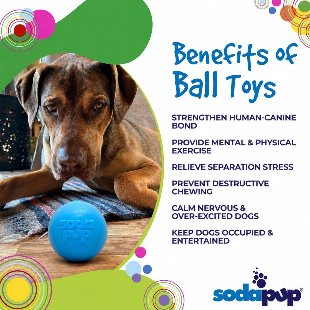 Squeak Ball - Durable Squeaky Dog Toy | USA Made