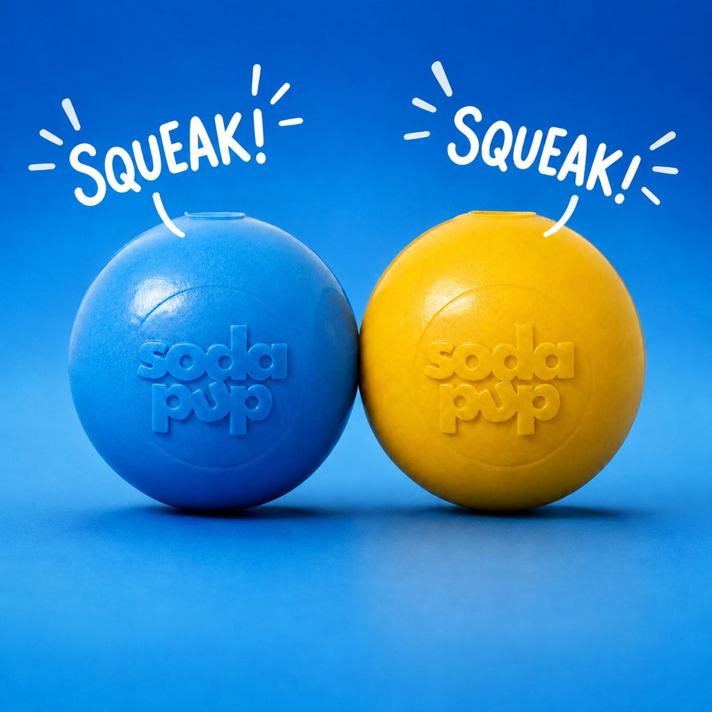 Squeak Ball - Durable Squeaky Dog Toy | USA Made