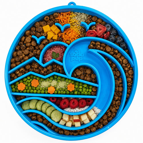 Baja Design Gamelle Lente Peu Profonde eTray pour l'enrichissement | Fabriquée aux États-Unis