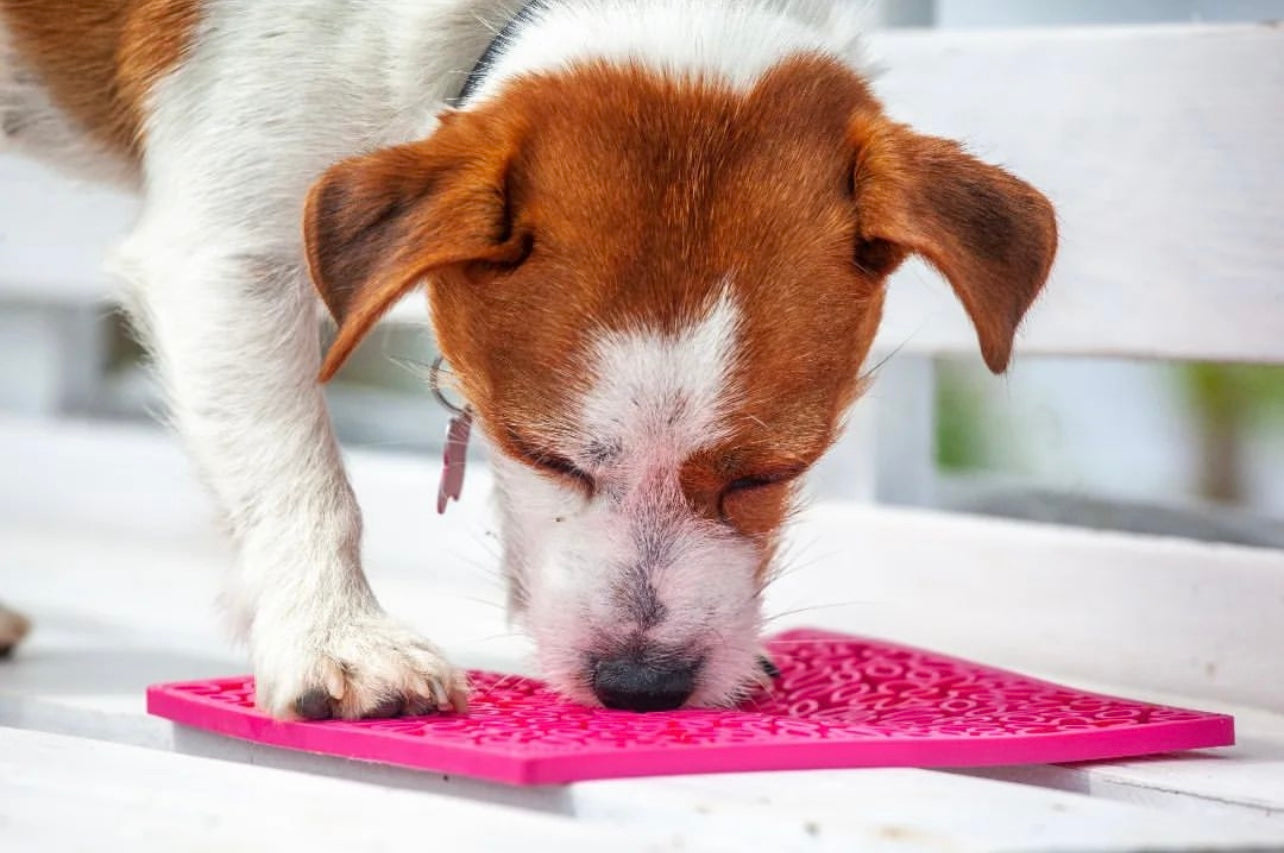 Flower Power eMat - Enrichment Lick Mat for Dogs and Cats | Flower Design | USA Made