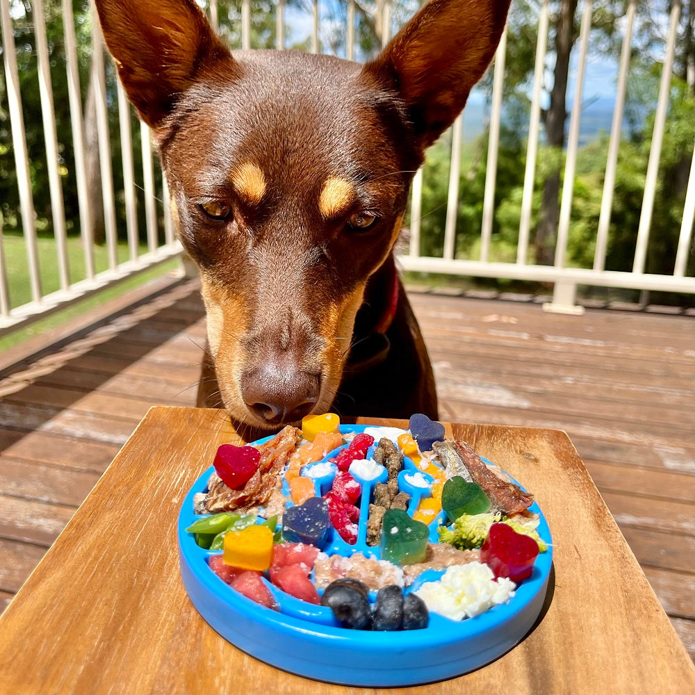 Air Nylon eCoin Lick Mat for Dogs - Durable Enrichment Toy | USA Made