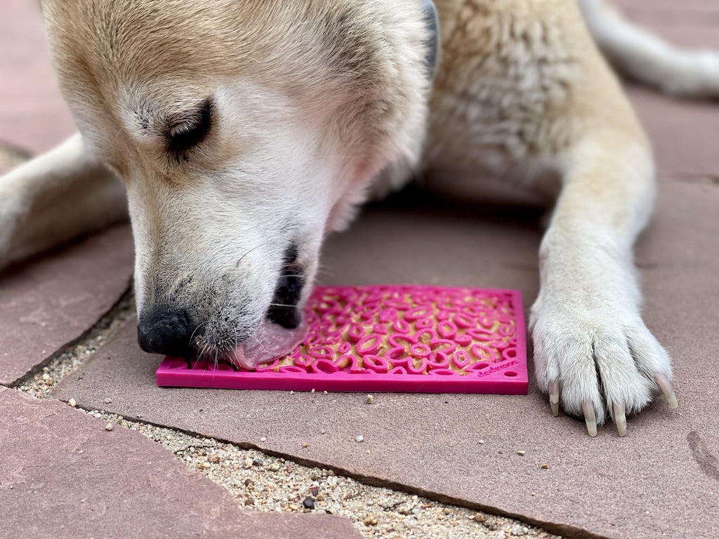 Flower Power eMat - Enrichment Lick Mat for Dogs and Cats | Flower Design | USA Made