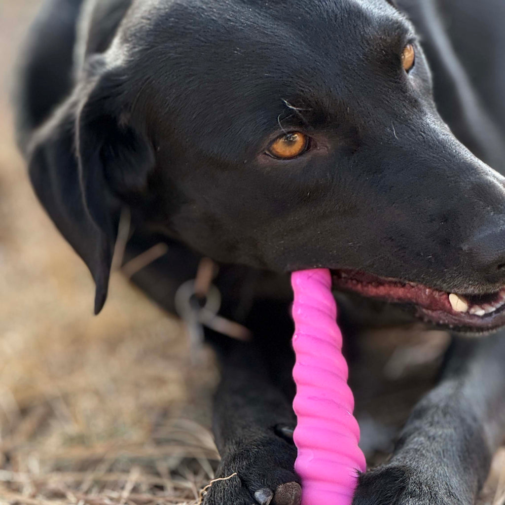 Unicorn Horn Nylon Dog Chew Toy | Durable for Aggressive Chewers | USA Made